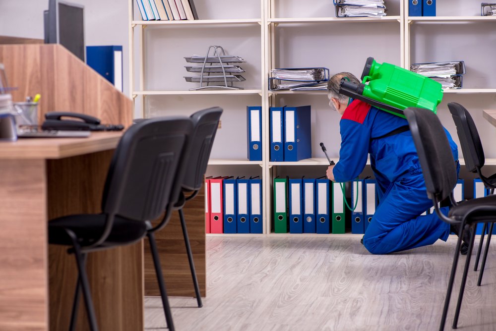 Old professional contractor doing pest control in the office.