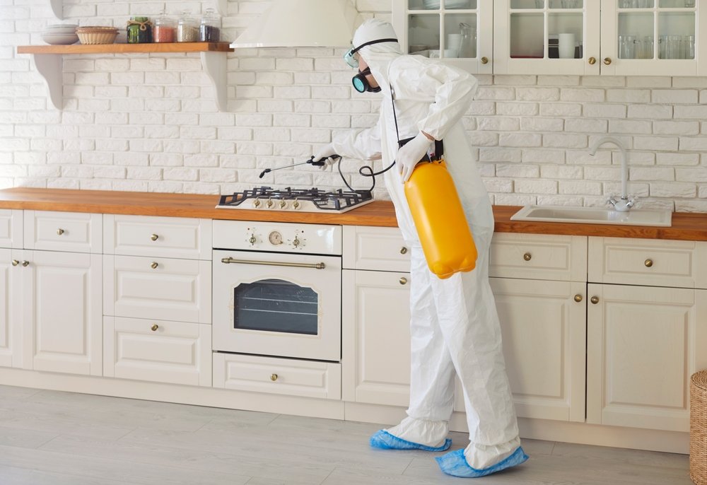 Professional worker in hazmat suit disinfecting kitchen indoor.