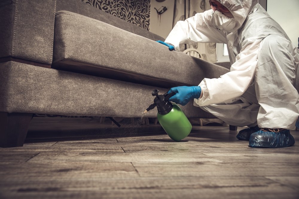 local exterminator for pest control services in Greensboro